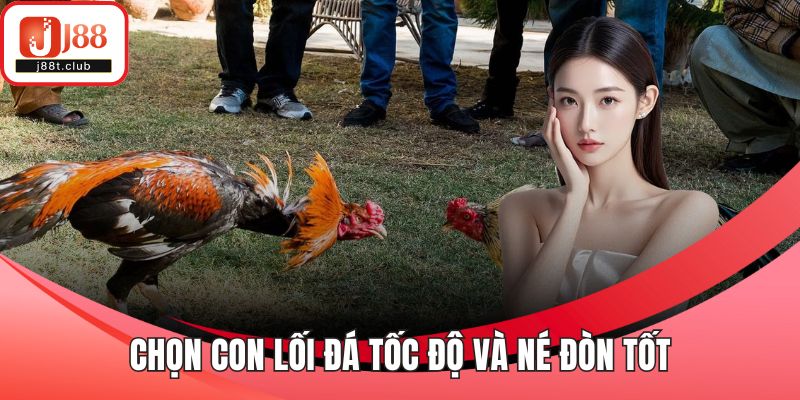 Chọn con lối đá tốc độ và né đòn tốt