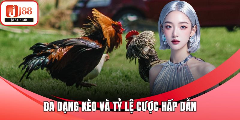Đa dạng kèo và tỷ lệ cược hấp dẫn