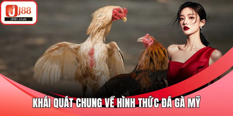 Khái quát chung về hình thức đá gà Mỹ