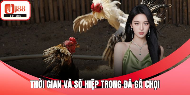 Thời gian và số hiệp trong đá gà chọi